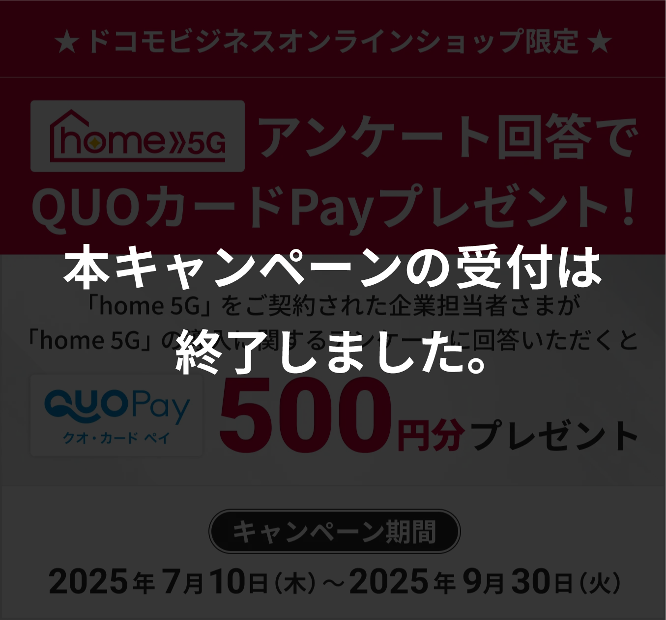 home 5G アンケート回答でQUOカードPayプレゼント!