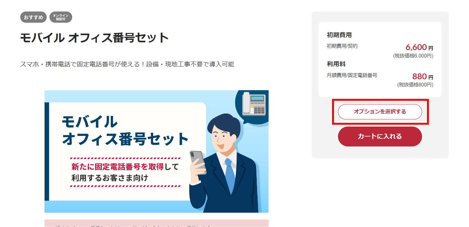 STEP2 カートに入れる：オプションを選択する