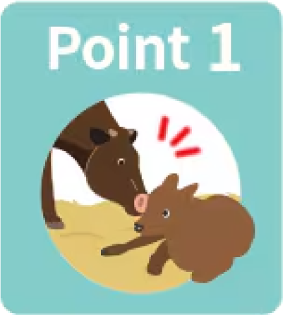 分娩事故の防止を実現