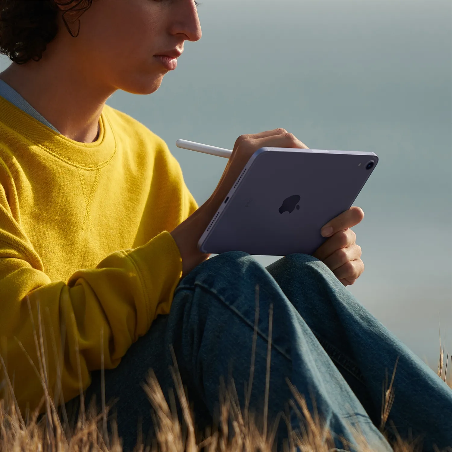 iPad mini(第6世代)|ドコモビジネスオンラインショップ|NTT iPad mini(第6世代)|ドコモビジネスオンラインショップ|NTT